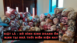 GIẶT LÀ - MÔ HÌNH KINH DOANH ỔN ĐỊNH TẠI NHÀ THỜI ĐIỂM HIỆN NAY